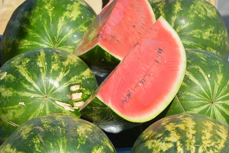 watermelon, melon, fruit, red melon, food and drink, food, healthy eating, green color, wellbeing, leaf
