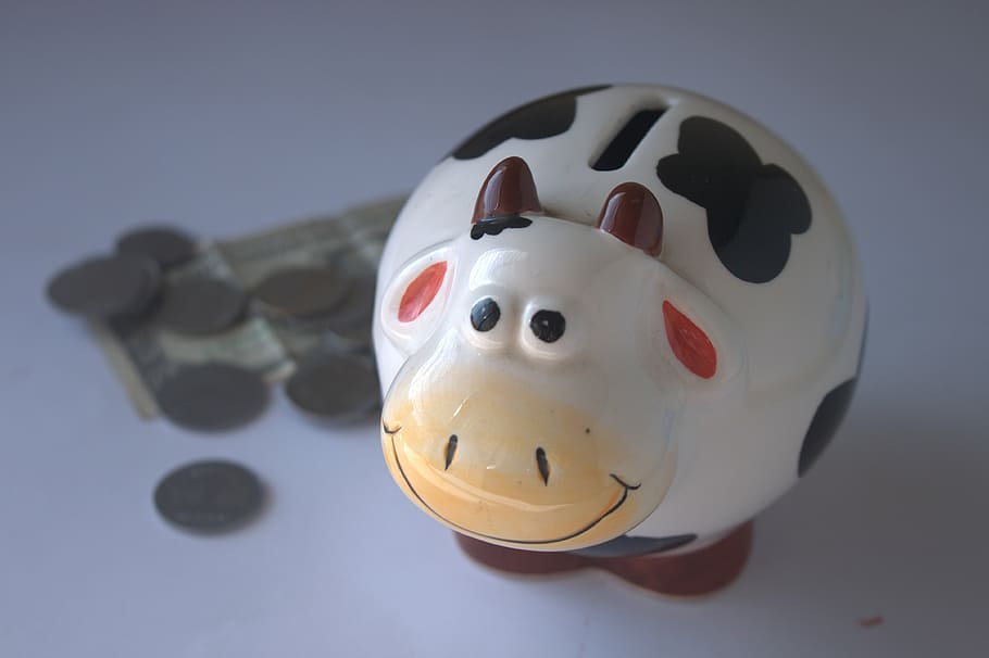 white, black, brown, cow, ceramic, coin bank, coins, piggy bank, savings, money