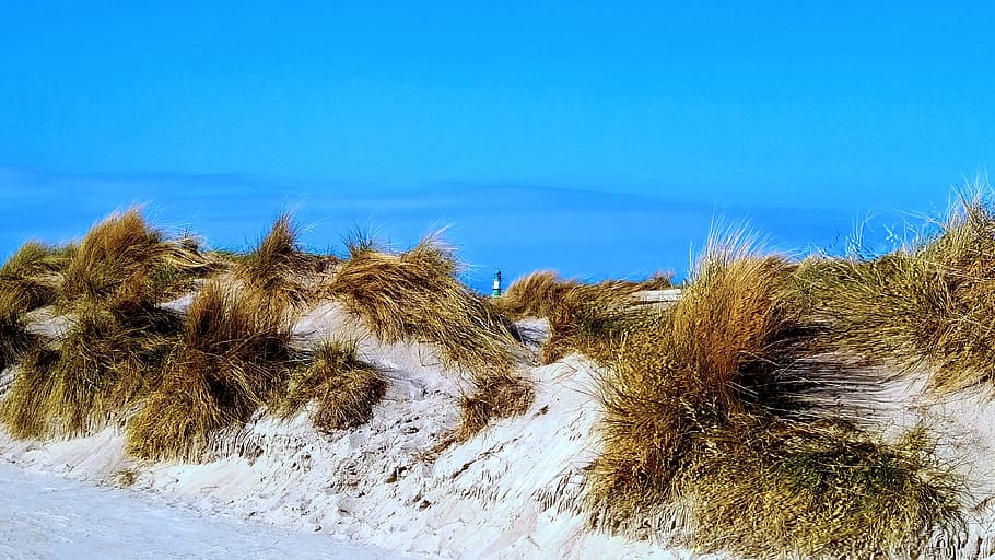 faro, playa, mar báltico, costa, naturaleza, verano, dunas, nubes, hierba, arena