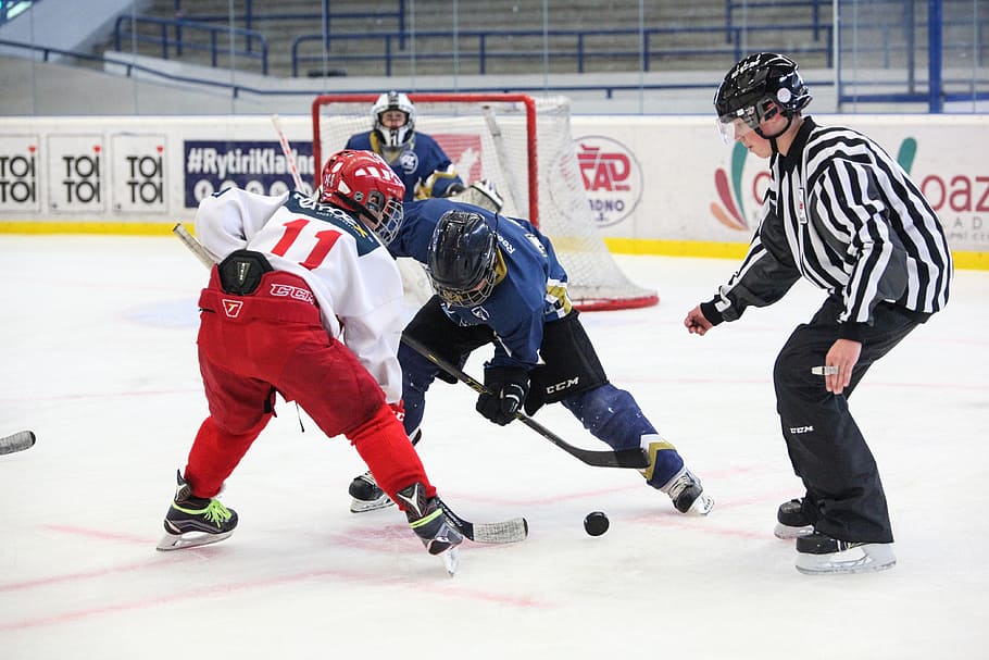several, men, playing, ice hockey indoors, hockey, slavia, skater, hockey player, winter, winter sports