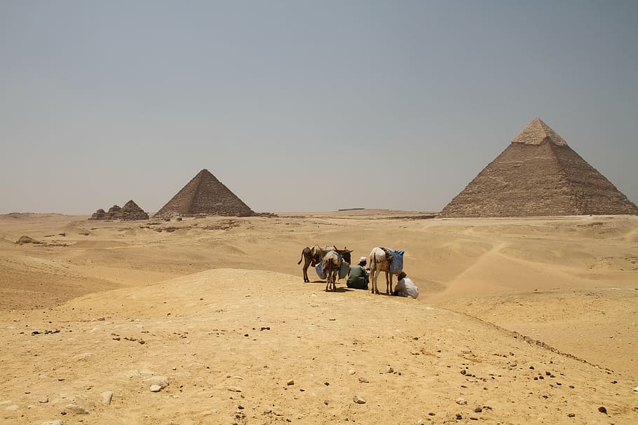 marrom, camelo, ao lado, homem, topo, deserto, egito, egípcio, pirâmides do deserto, viagem