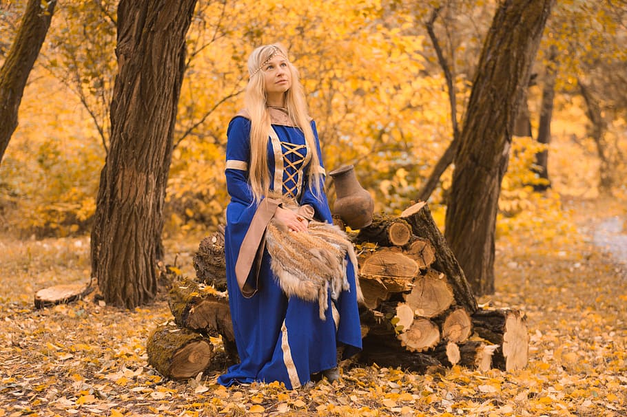 woman, wearing, blue, brown, long-sleeved, dress, sitting, tree trunk, forest, the middle ages