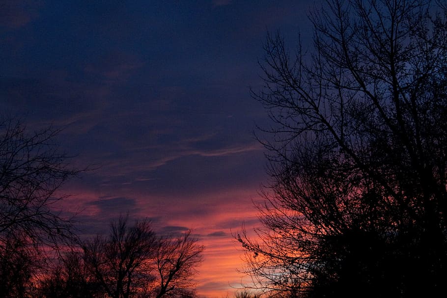 sunset, colors, brilliant, trees, sky, clouds, oklahoma, midwest city, december, tree