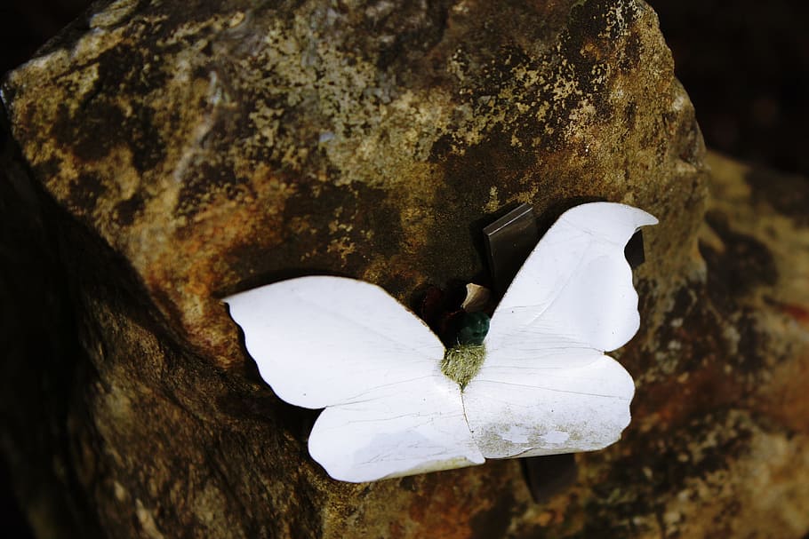 white, butterfly decor, brown, surface, stone, butterfly, tombstone, cross, cemetery, deco