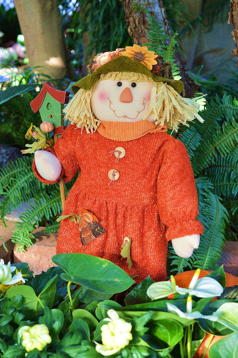 scarecrow, doll, fall, autumn, harvest, october, hat, thanksgiving, country, season