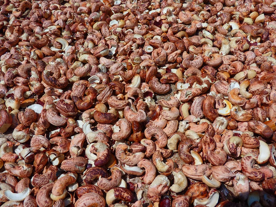 Cashew Nut, Roast, Plant, cashew, nut, food and drink, full frame, food, backgrounds, freshness