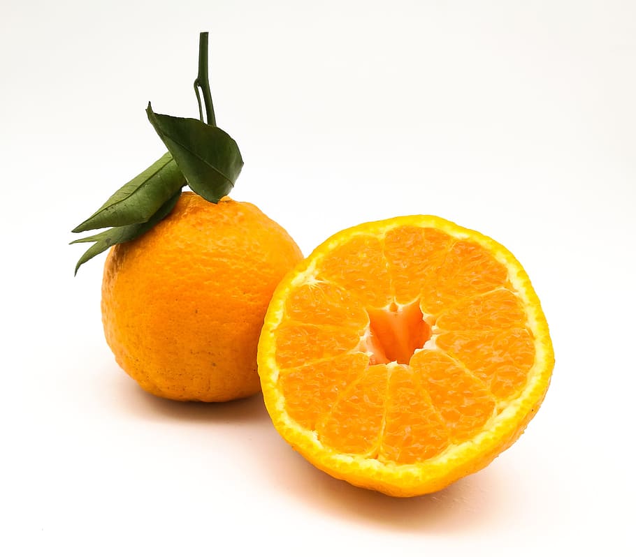 citrus, miscellaneous citrus, don't fire, orange, oranges, fruit, studio shot, citrus fruit, leaf, orange color