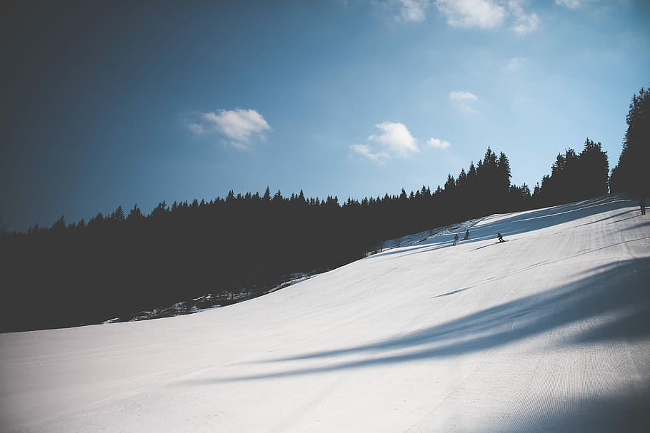 Lereng Ski, Menakjubkan, Langit, awan, hutan, ski, salju, cerah, musim dingin, alam