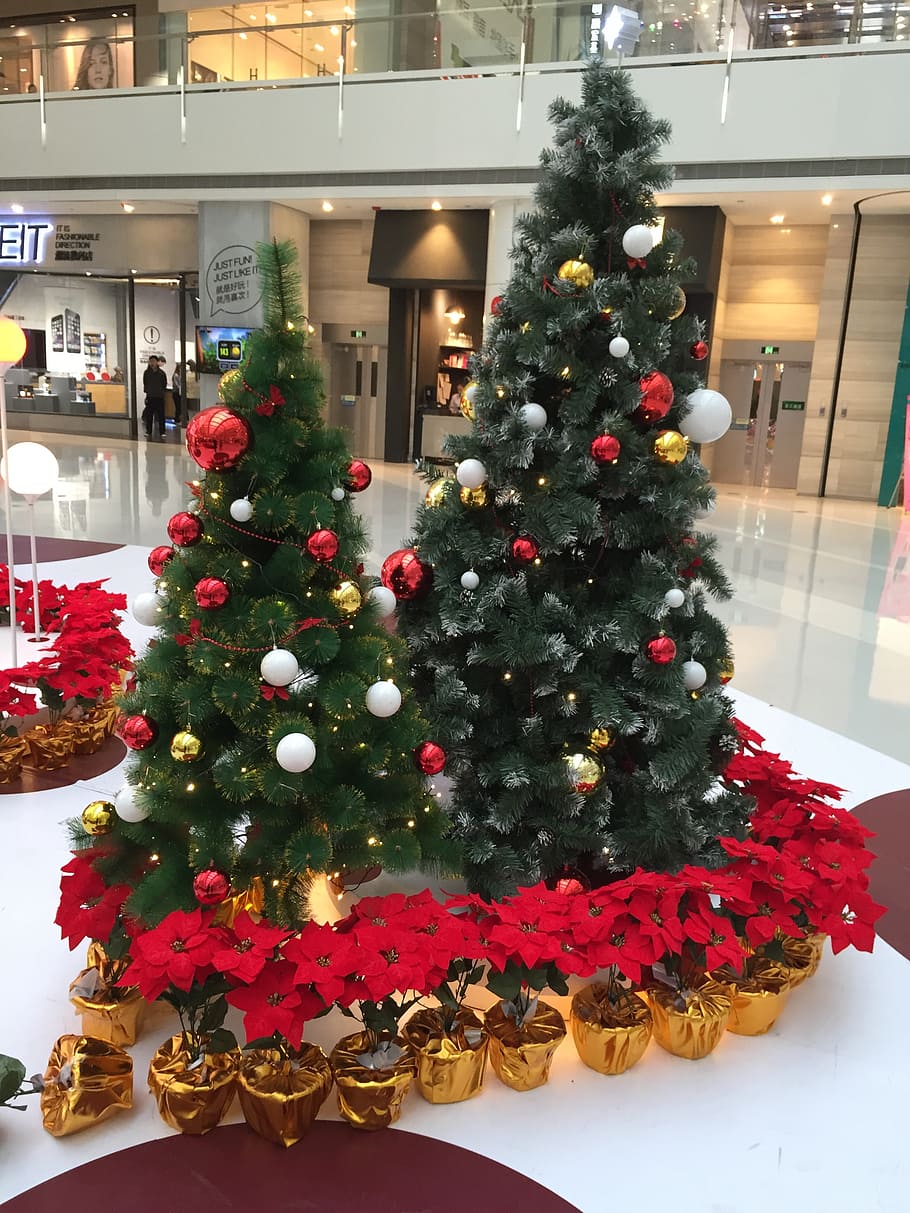 christmas eve, christmas, the mall, plaza, shopping, commercial, flower, christmas tree, christmas ornaments, holiday