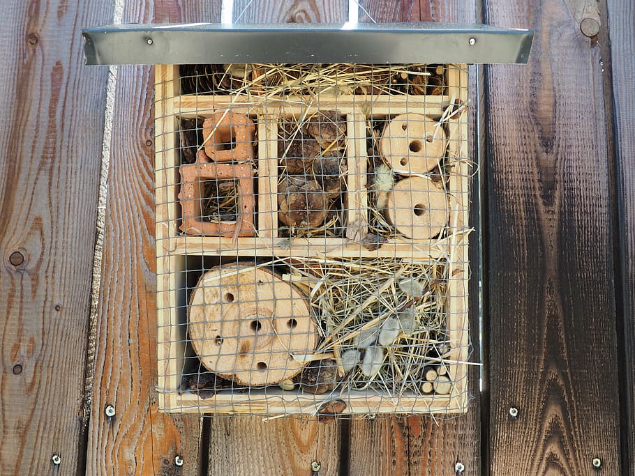 insect hotel, bee, bee hotel, wood, insect, wild bee hotel, technology, wood - material, abandoned, connection