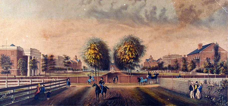 south, carolina college, 1850, South Carolina College, Columbia, art, college, photos, illustration, public domain