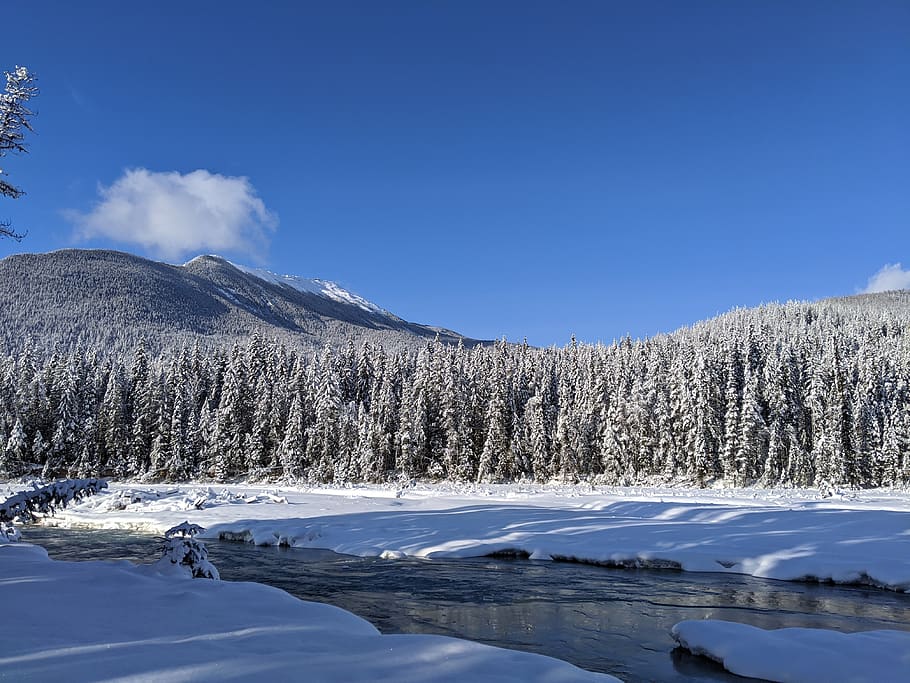 blaeberry river, blaeberry, british columbia, mountains, river, snow ...