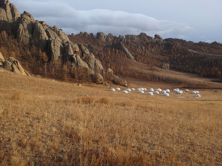 mongolia, parque nacional, estepa, otoño, oro, marrón oro marrón, yurta, ing, nómadas, naturaleza