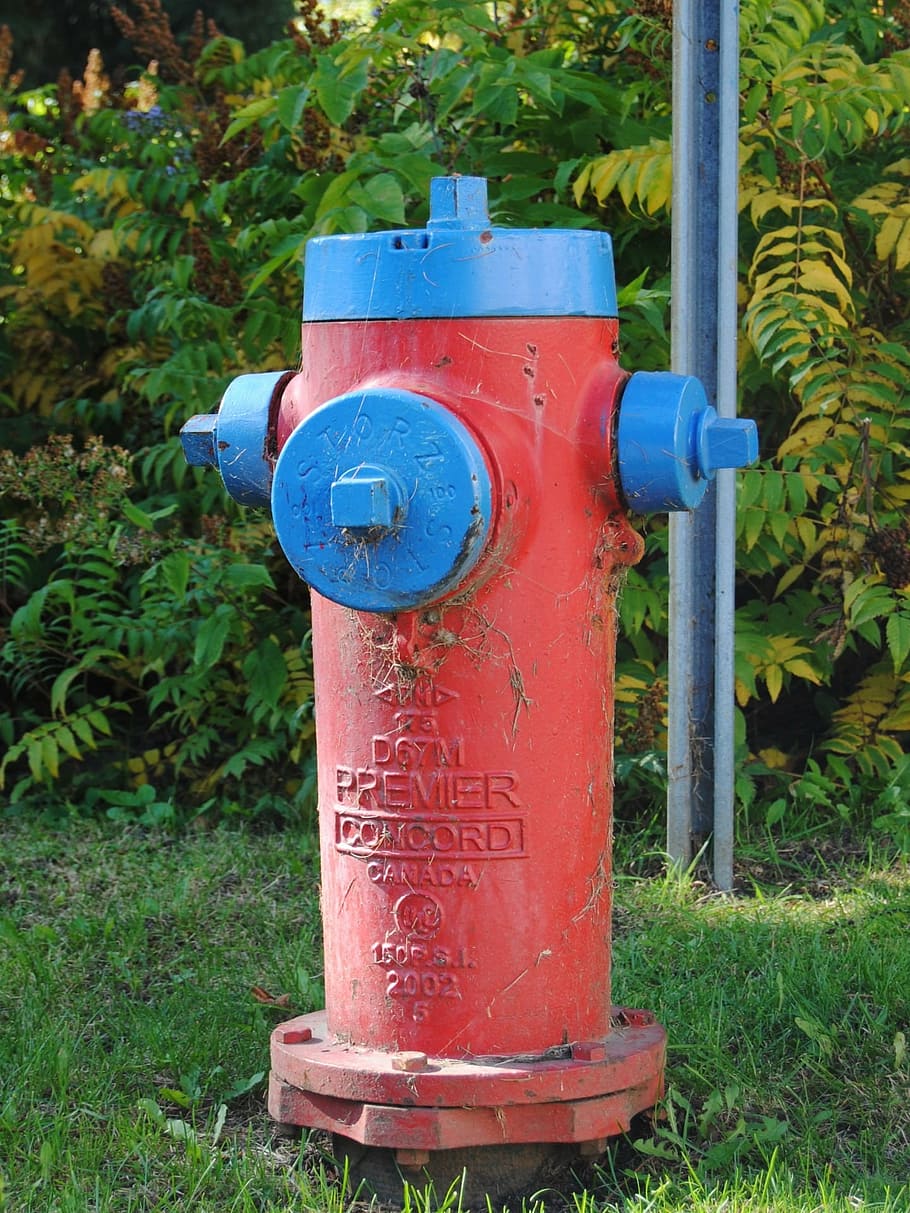 hydrant, red, fire, burning, conflagration, prevention, water, plant, nature, fire hydrant