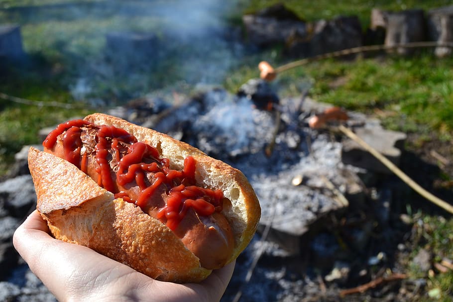 barbecue, hot dog, fireplace, sausage, bread, ketchup, red, food, human hand, meat