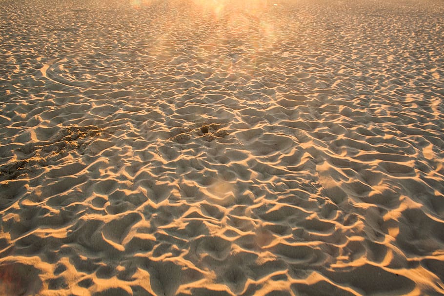 beach, sand, footprints, summer, sunshine, backgrounds, land, nature, pattern, sunlight