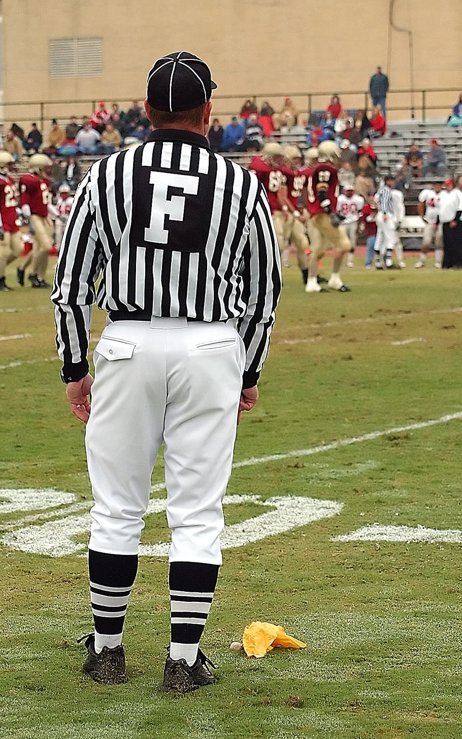 football official, official, field judge, american football, penalty, flag, judge, field, football, stripes