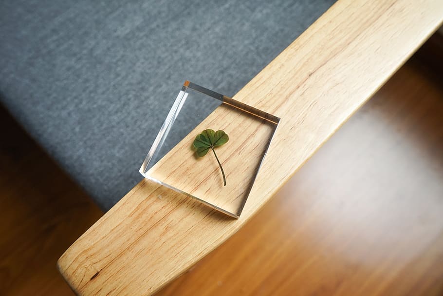 four-leaf clover, glass, crystal, decoration, wood - material, indoors, high angle view, table, nature, close-up