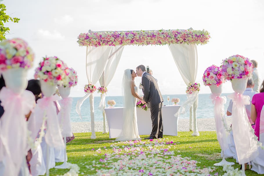 hombre, mujer, vistiendo, vestido de novia, besos, achway de flores, boda en la playa, boda, flor, planta floreciendo