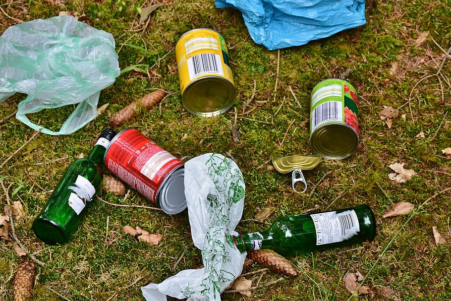 latas, botellas, hierba, basura, desechos plásticos, desechos, eliminación de desechos, protección del medio ambiente, naturaleza, bosque
