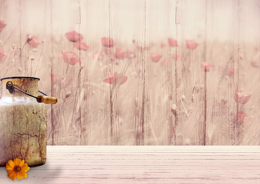 brown, milk, poppy-painted wall, background image, flowers, milk can, klatschmohn, wood, structure, texture