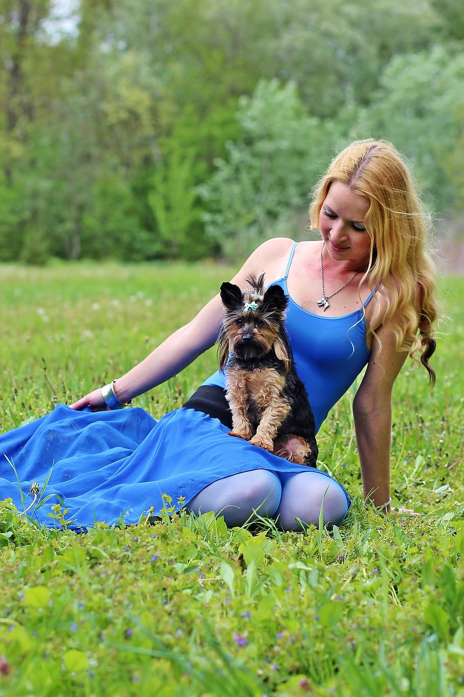 dogs, woman and dog, yorkie, blonde woman, lie, beauty, dream, green grass, spring, outdoors