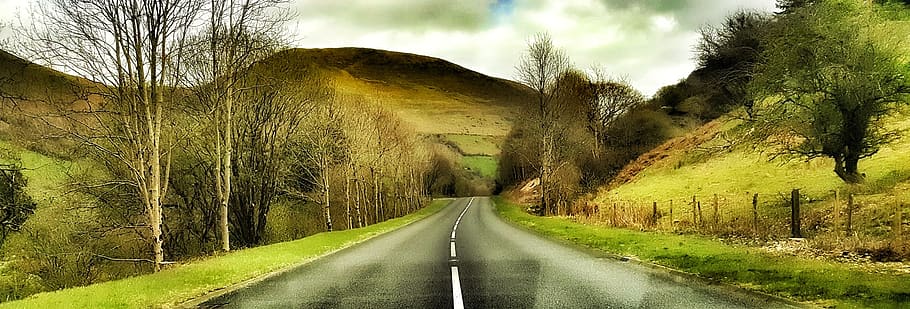 wales, roads, hills, brecon beacons, uk, tree, transportation, road, plant, direction