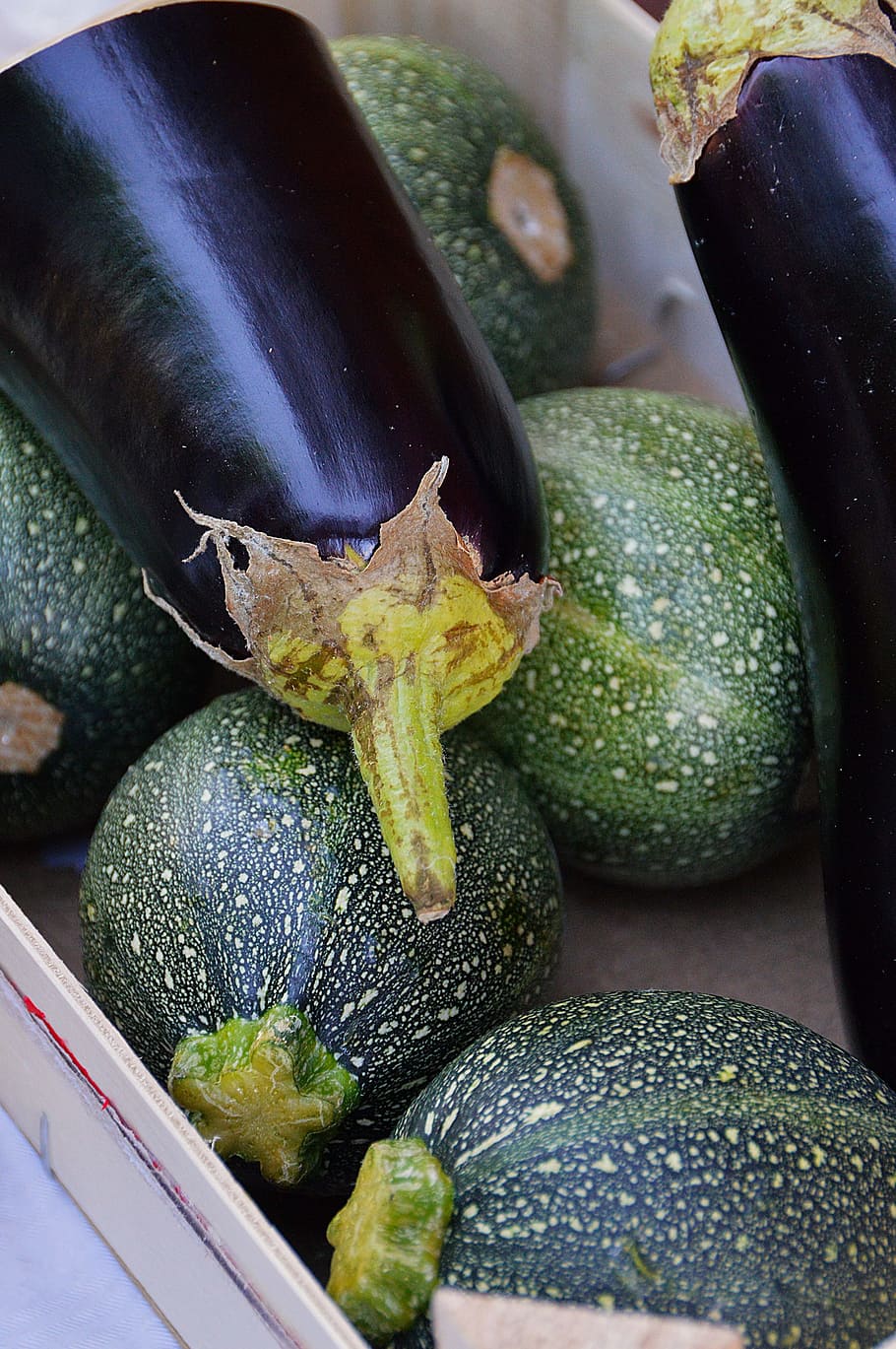zucchini, vegetables, green, healthy, food, crop, nature, plant, vegetable meal, kitchen