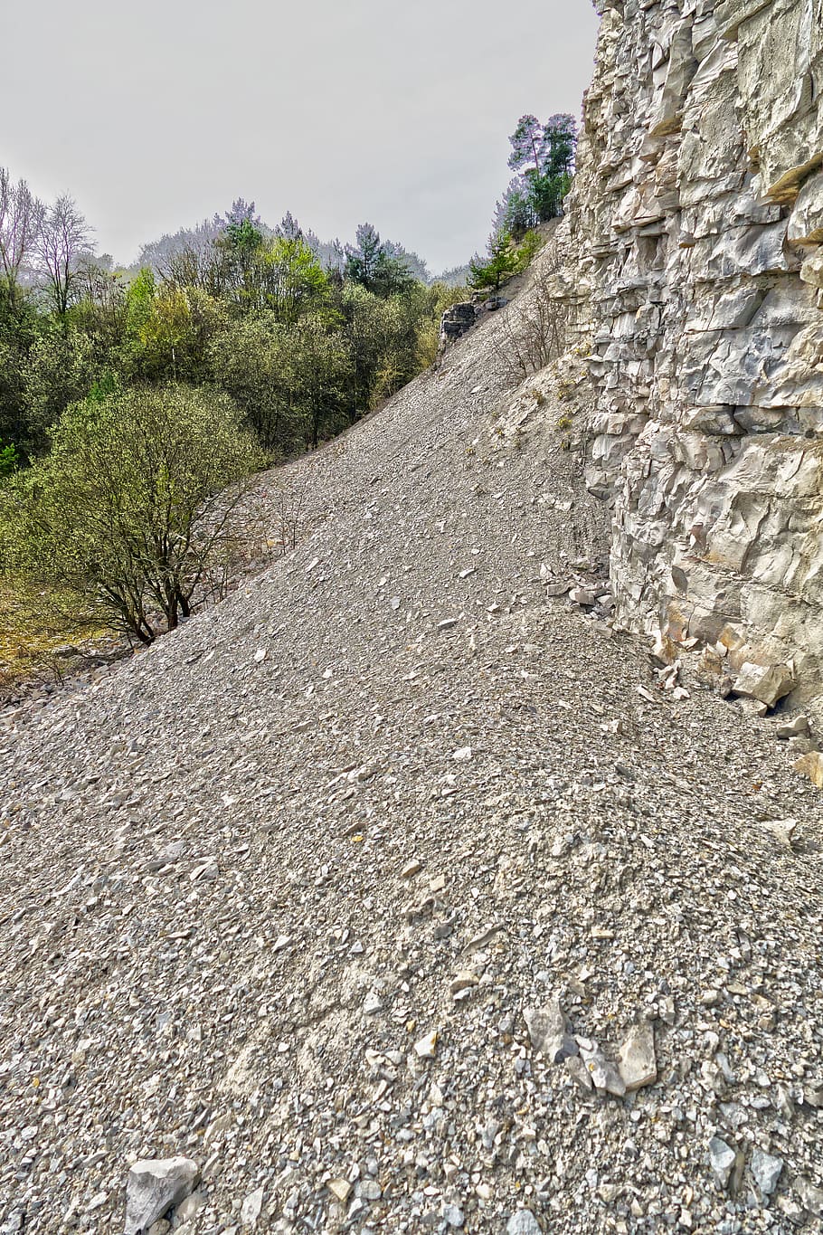 quarry, trees, rock, stone, schroff, overburden, scree, decay, limestone, weathered