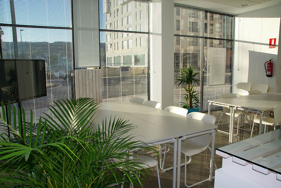 retangular, branco, mesa, cadeira, conjunto, espaço de escritório, escritório, ensolarado, Coworking, reunião