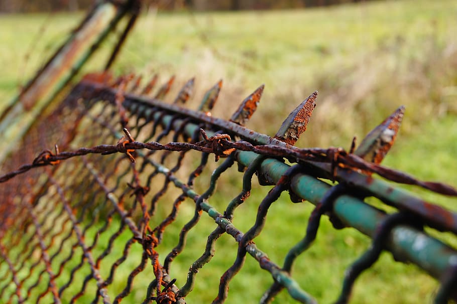 stainless, pointed, fence, barbed wire, rusted, metal, thorn, protection, security, wire