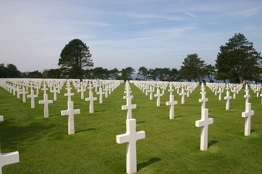 normandy, commemorate, cemetery, cross, war, grave, plant, tombstone, memorial, grass