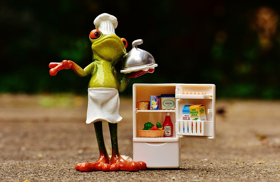 tree frog, holding, serving, tray figurine, frog, cooking, figure, refrigerator, supplies, funny