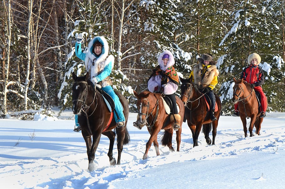 gila, salju, rusia, musim dingin, dingin, naik kuda, womens, hutan, siang hari, pohon