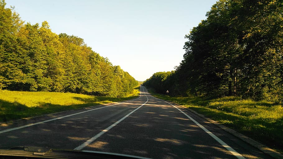 Estrada, floresta, céu azul, asfalto, árvores, verde, vegetação, natureza, azul, a linha contínua