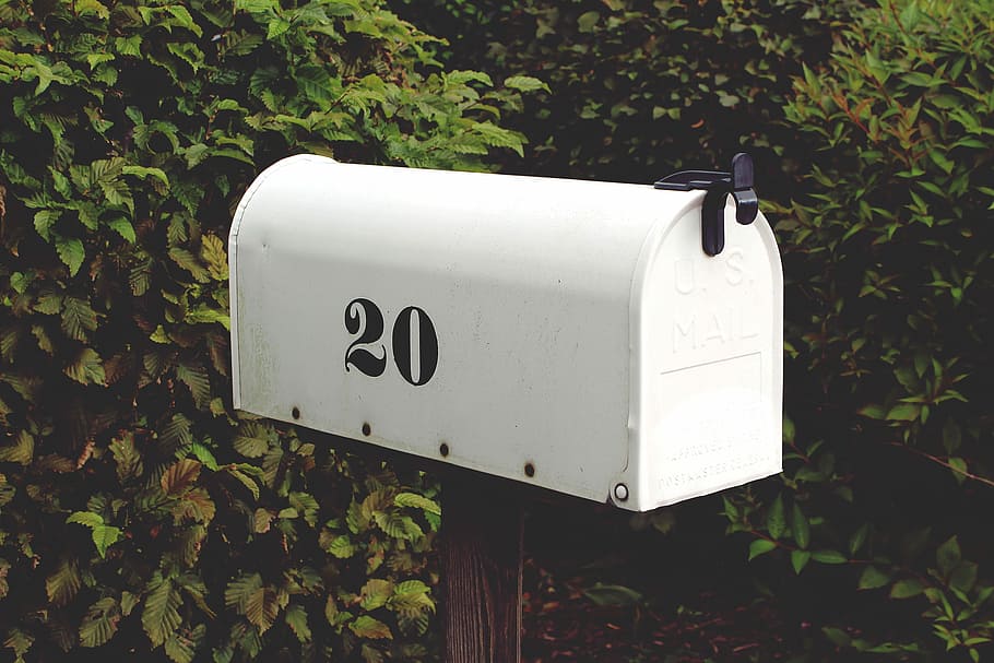 white, black, mailbox, green, plants, green plants, gray, leaves, letterboxes, mailboxes