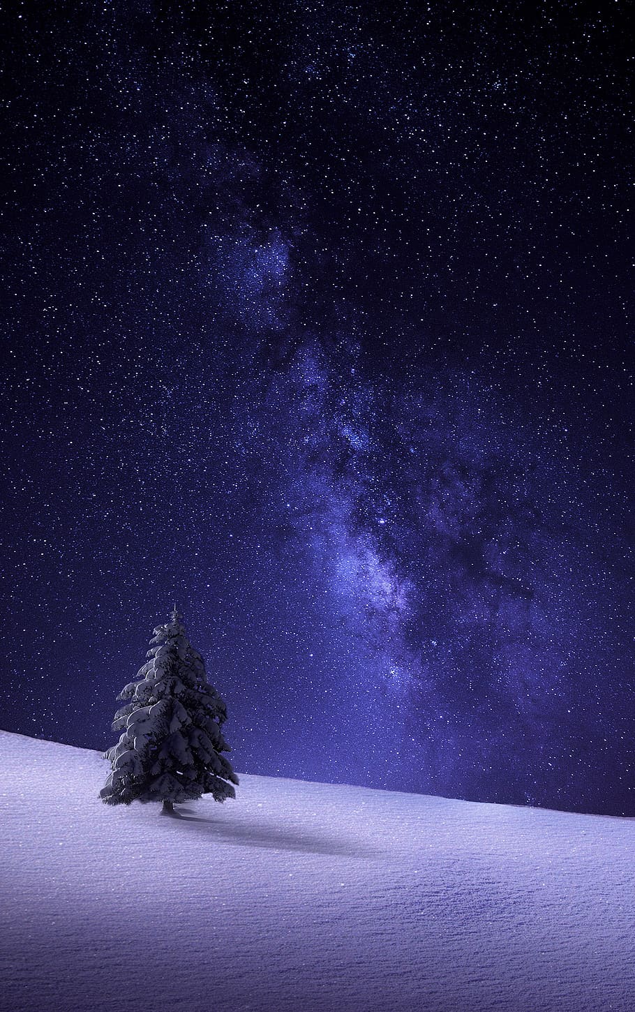 nature, landscape, winter, the winter's tale, christmas, christmas fairy tale, snow, wintry, star, starry sky