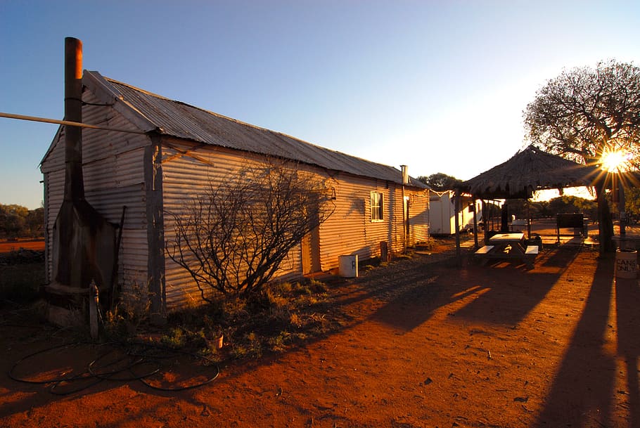 outback, australia, shearing shed, sunset, built structure, tree, architecture, building exterior, sky, plant