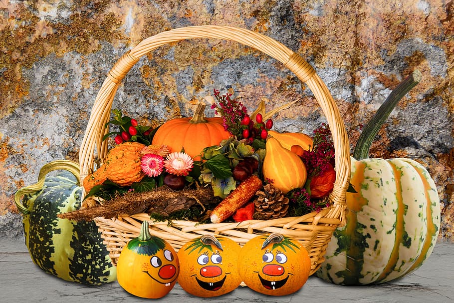 삽화, 과일 바구니, 시간, 가을, 가을 시작, 호박, 바구니, 추수 감사절, 장식, 가을 장식