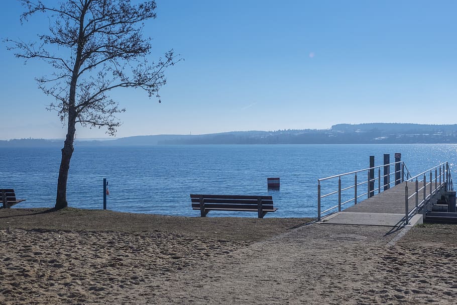 lake constance, park bench, bench, resting place, web, water, lookout point, lake, lake view, old tree