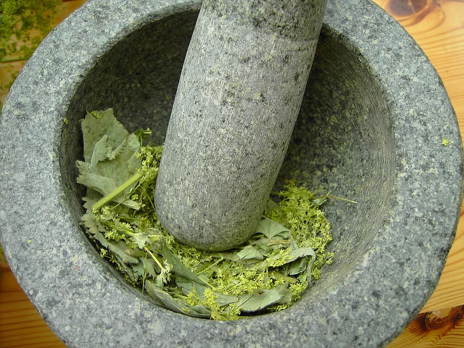 mortar, frauenmantel, alchemy, plant, mortar and Pestle, spice, food, high angle view, food and drink, healthy eating