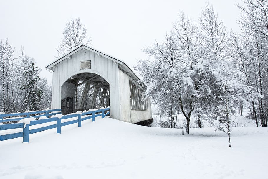 Ponte coberta, neve, Willamette Valley, Oregon, madeira, ponte, cercado, árvores, inverno, temperatura fria