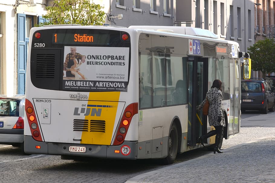 bus, vehicle, public transport, mode of transportation, transportation, land vehicle, city, text, street, public transportation