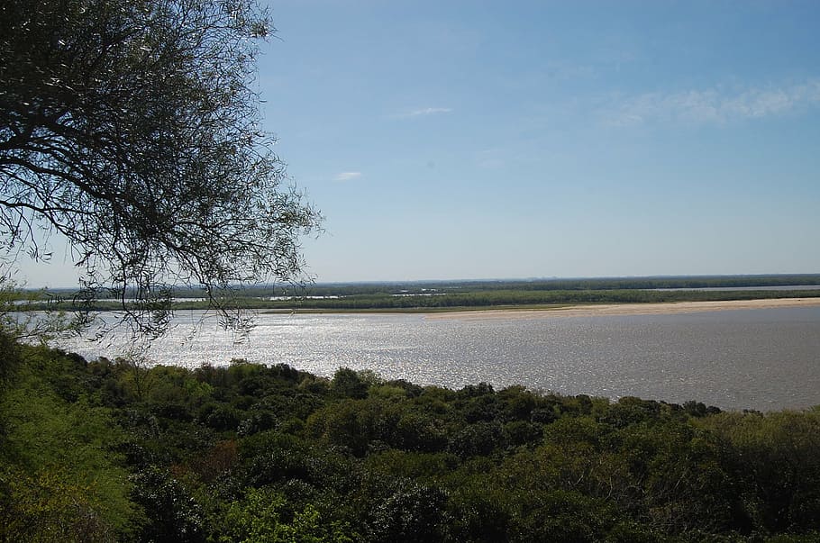 rio paraná, natureza, paisagem, rio, argentina, gaúcho, árvore, plantar, agua, beleza natural