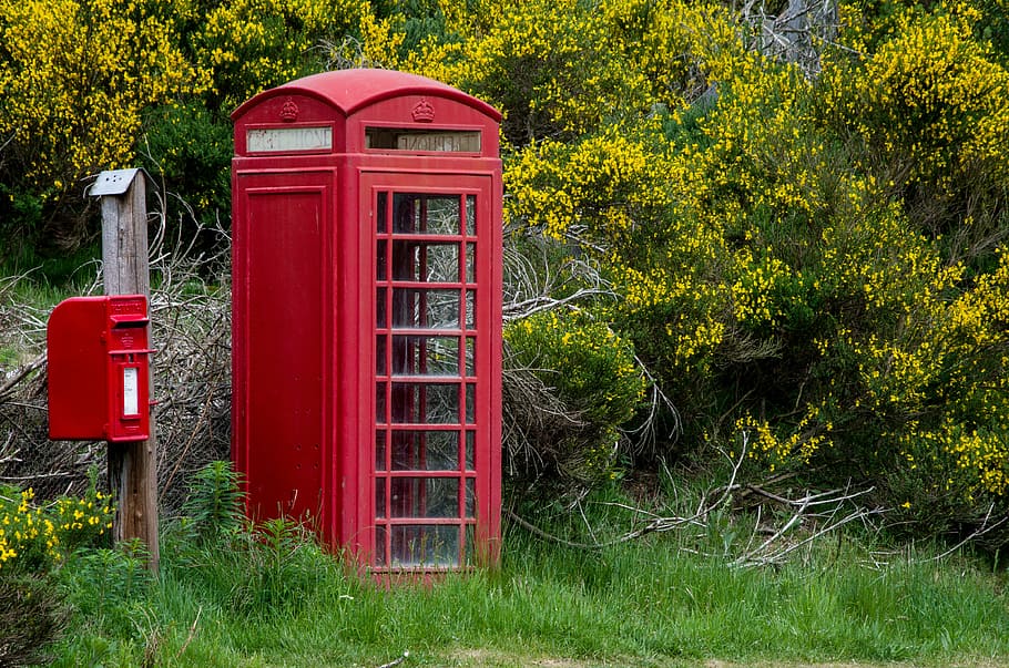 Inglaterra, cabine telefônica, caixa de correio, vermelho, escócia, balmoral, deedale, aberdeenshire, solitário, prado