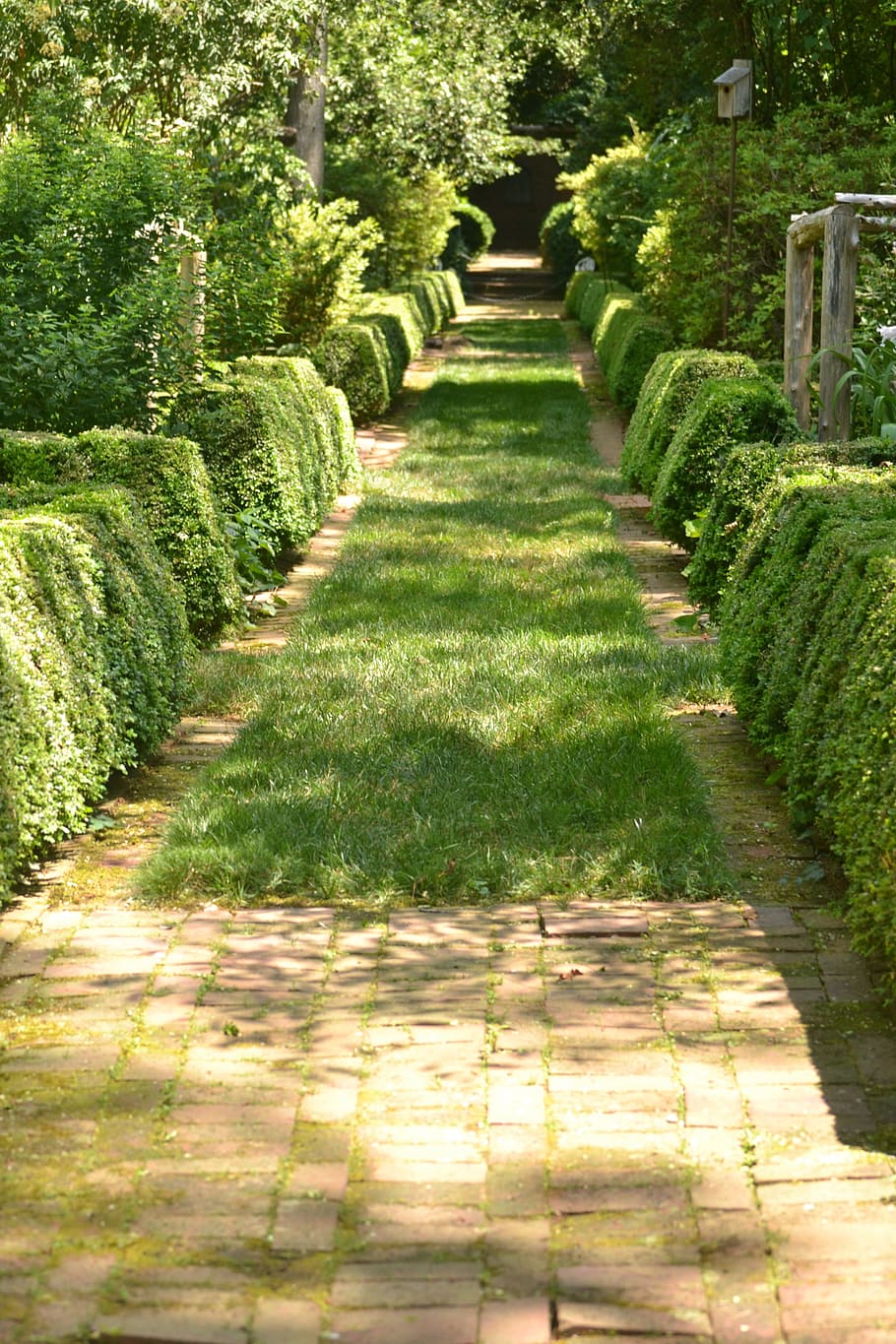 path, garden, stone, pathway, green, landscape, hedges, brick, pavers, foliage