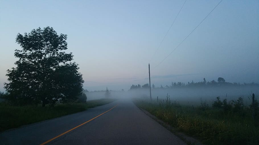 Foggy, Road, Outdoor, Mist, Country, rural, weather, tree, hazy, morning
