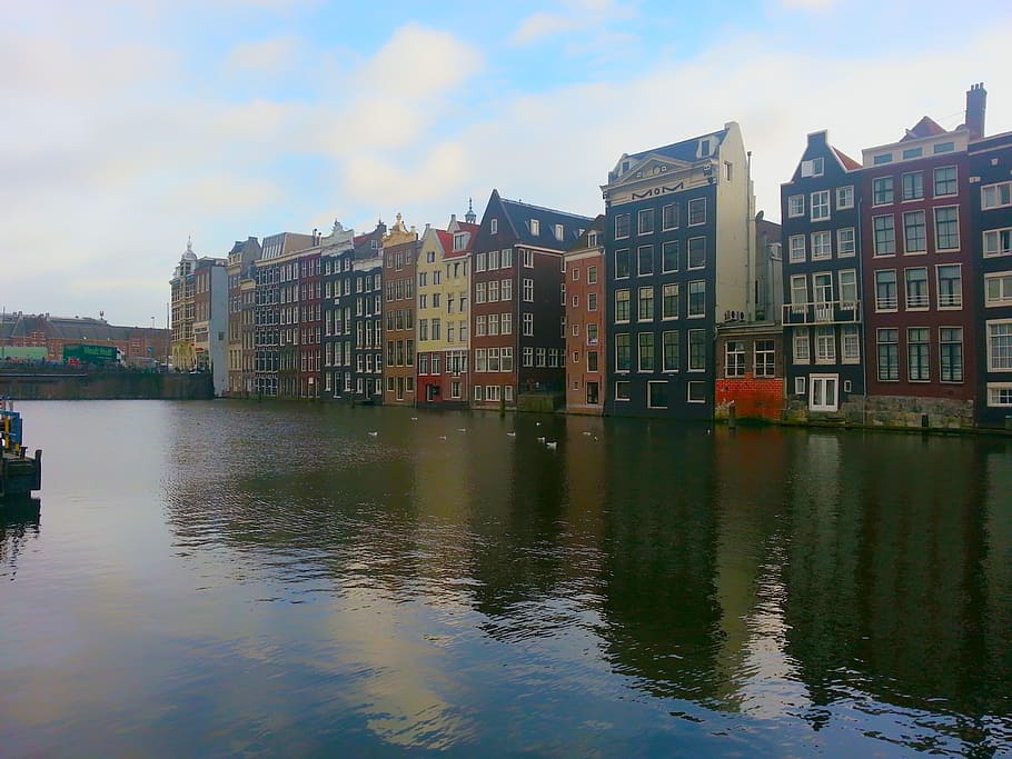 암스테르담, 도심, 네덜란드, 도시, 전망, 도시의, 도시 풍경, 여행, 관광 여행, 지구