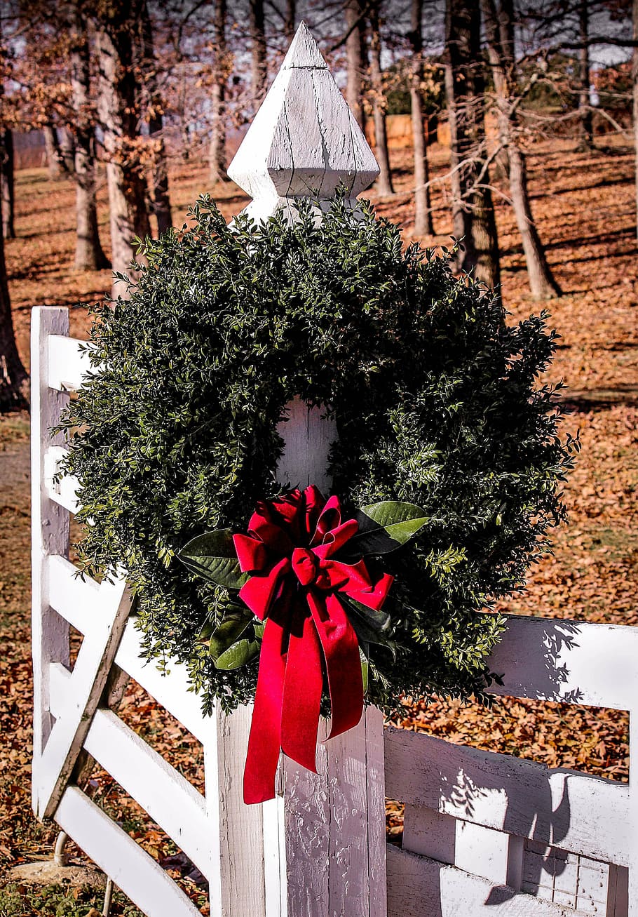 green, red, wreath, hang, white, wooden, fence, daytime, christmas wreath, gate