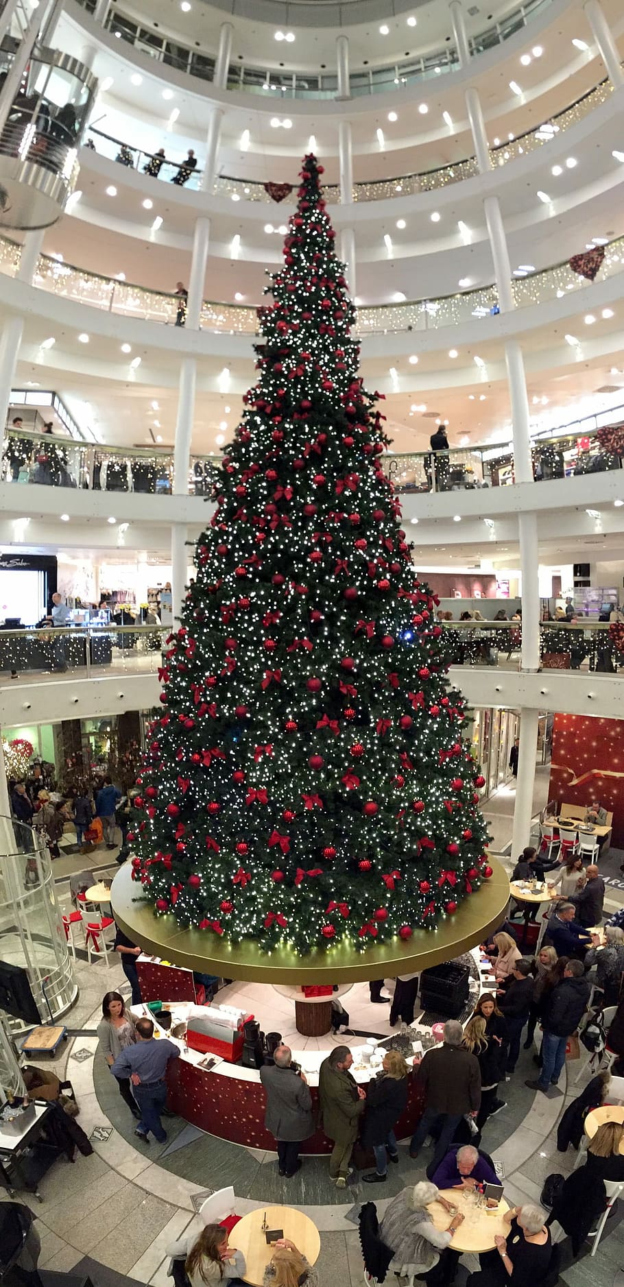 christmas, christmas tree, Christmas Tree, christmas, christmas decorations, fir, christmas trees, retail, customer, consumerism, store